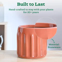 Blushing Sun Ceramic Planter