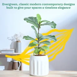 Blushing Sun Ceramic Planter