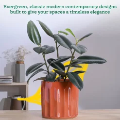 Blushing Sun Ceramic Planter