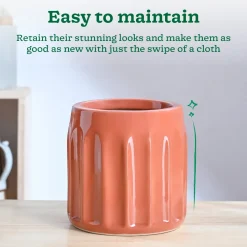 Blushing Sun Ceramic Planter