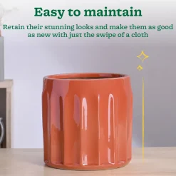Blushing Sun Ceramic Planter