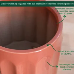 Blushing Sun Ceramic Planter