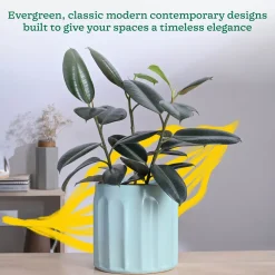 Blushing Sun Ceramic Planter