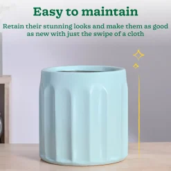 Blushing Sun Ceramic Planter