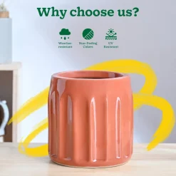 Blushing Sun Ceramic Planter