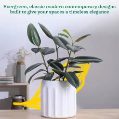 Blushing Sun Ceramic Planter