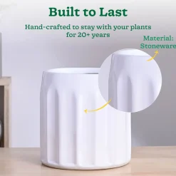 Blushing Sun Ceramic Planter