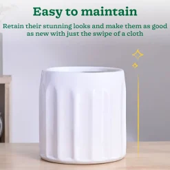 Blushing Sun Ceramic Planter