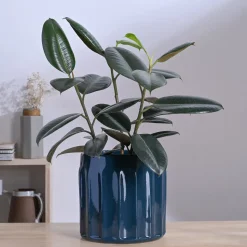 Blushing Sun Ceramic Planter