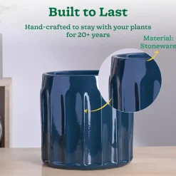 Blushing Sun Ceramic Planter