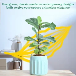 Blushing Sun Ceramic Planter