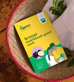 Brinjal Muktakeshi Giant Seeds