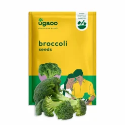 Broccoli Seeds
