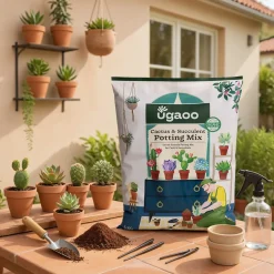 Cactus & Succulent Potting Mix - 5 kg