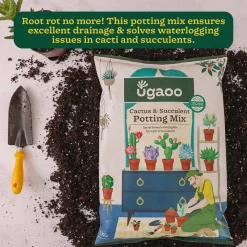 Cactus & Succulent Potting Mix - 5 kg