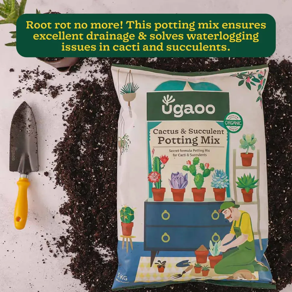Cactus & Succulent Potting Mix - 5 kg