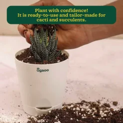 Cactus & Succulent Potting Mix - 5 kg