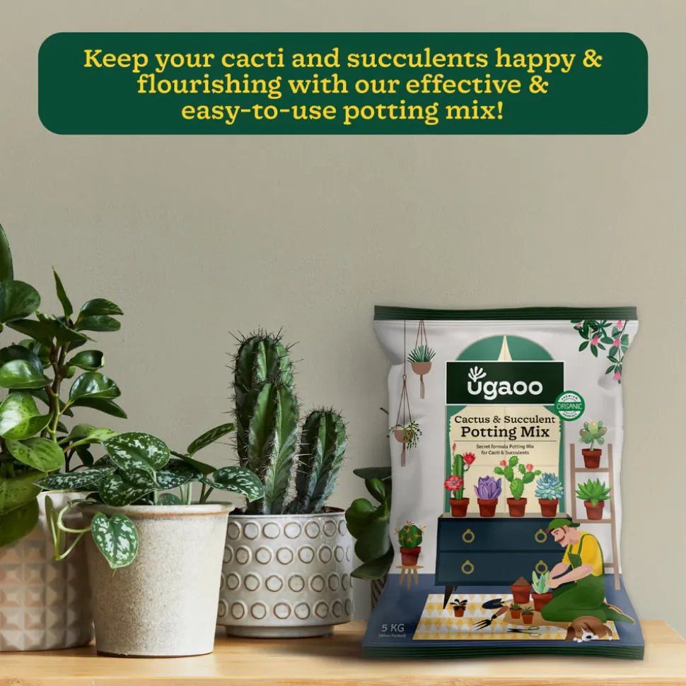 Cactus & Succulent Potting Mix - 5 kg