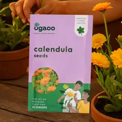 Calendula Seeds