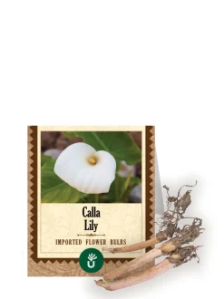 Calla Lily Bulbs