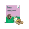 Calla Lily - Captain Caruso Bulbs