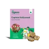 Calla Lily - Captain Hollywood Bulbs