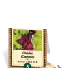 Candyman Gladiolus Bulbs