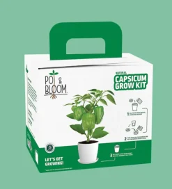 Capsicum Grow Kit