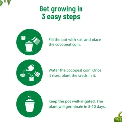 Capsicum Grow Kit
