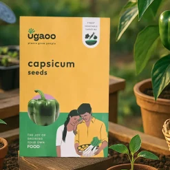 Capsicum Seeds
