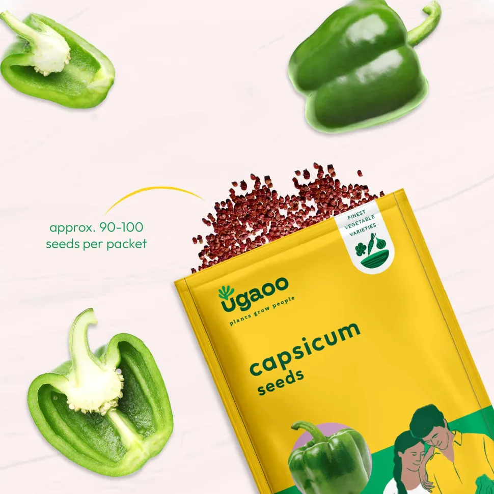 Capsicum Seeds