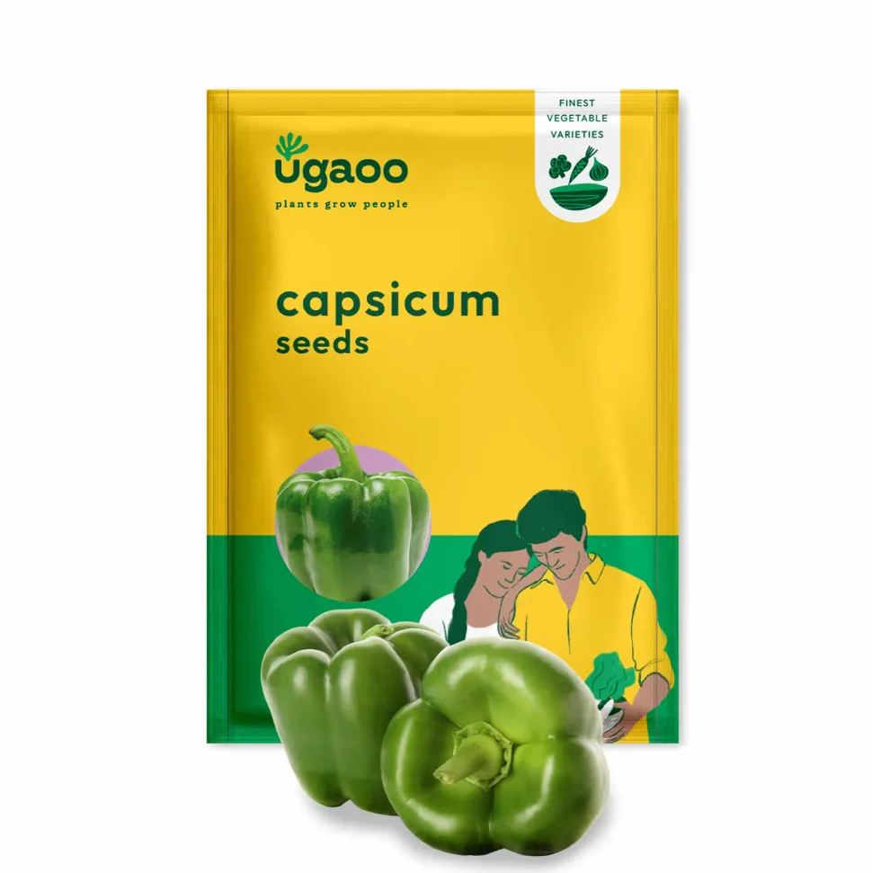 Capsicum Seeds