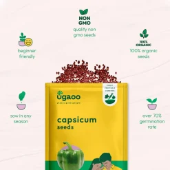 Capsicum Seeds