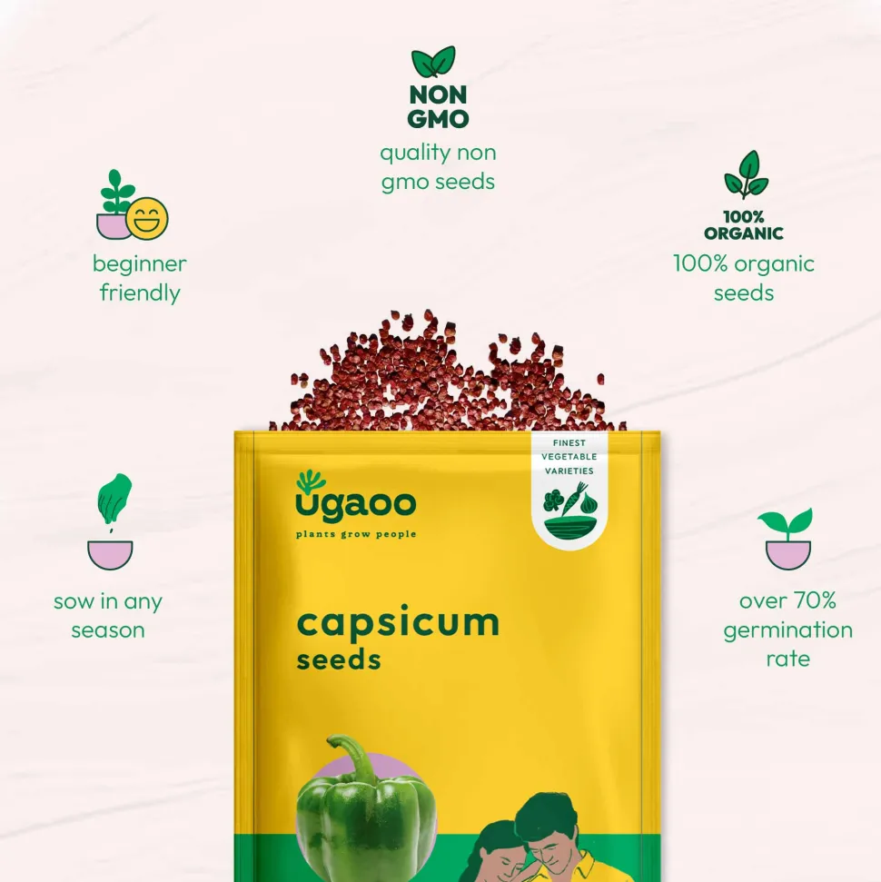 Capsicum Seeds