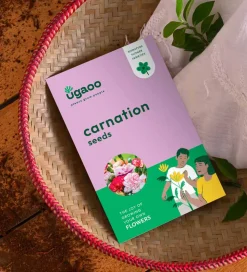 Carnation Seeds