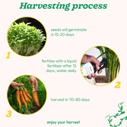 Carrot Nantes Seeds (Improved)