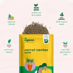 Carrot Nantes Seeds (Improved)