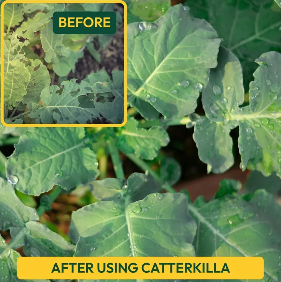 CaterKilla Deltamethrin 2.8% EC - 100 ml