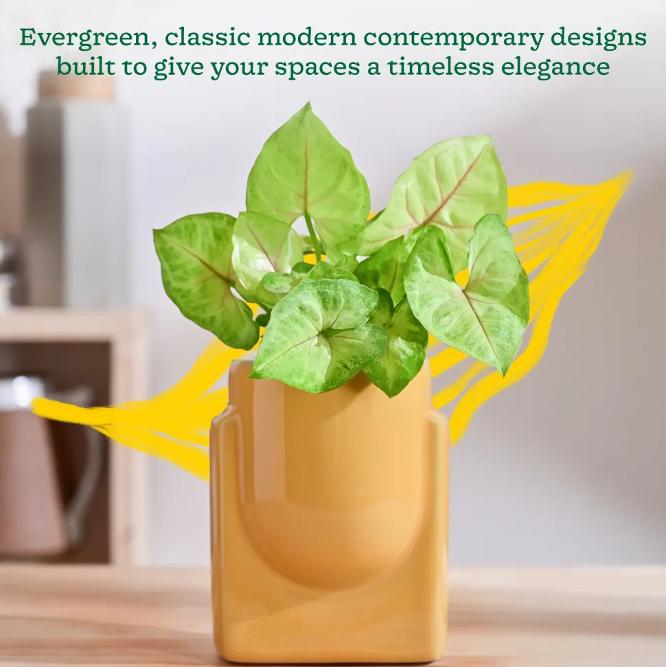 Cats are Gods Ceramic Planter