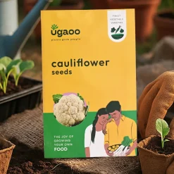 Cauliflower Seeds