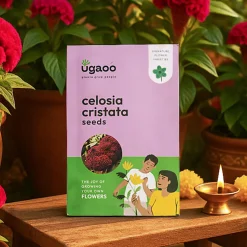 Celosia Cristata Seeds
