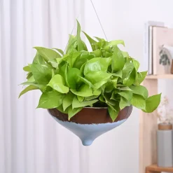 Ceramic Hanging Pot Cosmic Stone