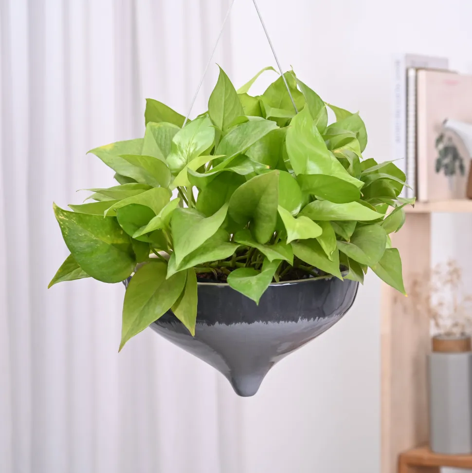 Ceramic Hanging Pot Cosmic Stone