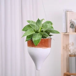 Ceramic Hanging Pot Cosmic Stone