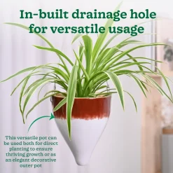 Ceramic Hanging Pot Cosmic Stone