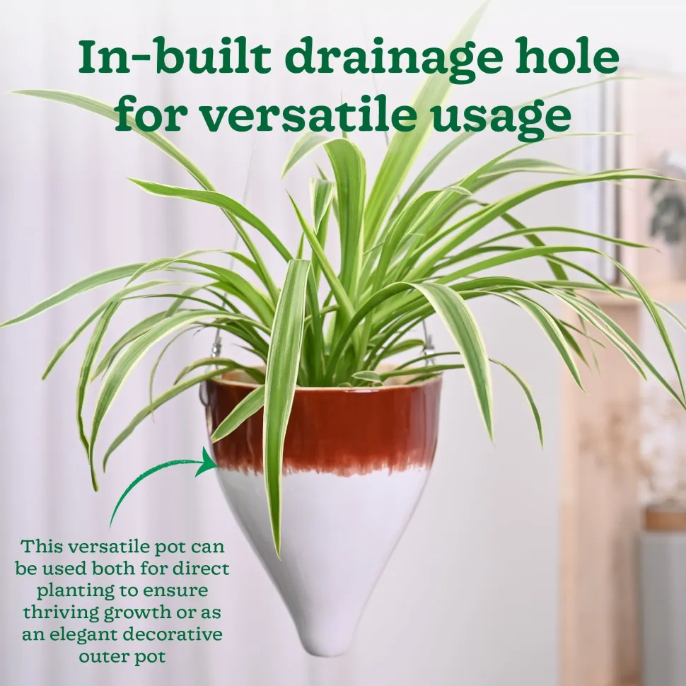 Ceramic Hanging Pot Cosmic Stone