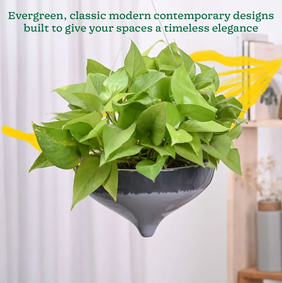 Ceramic Hanging Pot Cosmic Stone