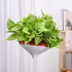 Ceramic Hanging Pot Cosmic Stone