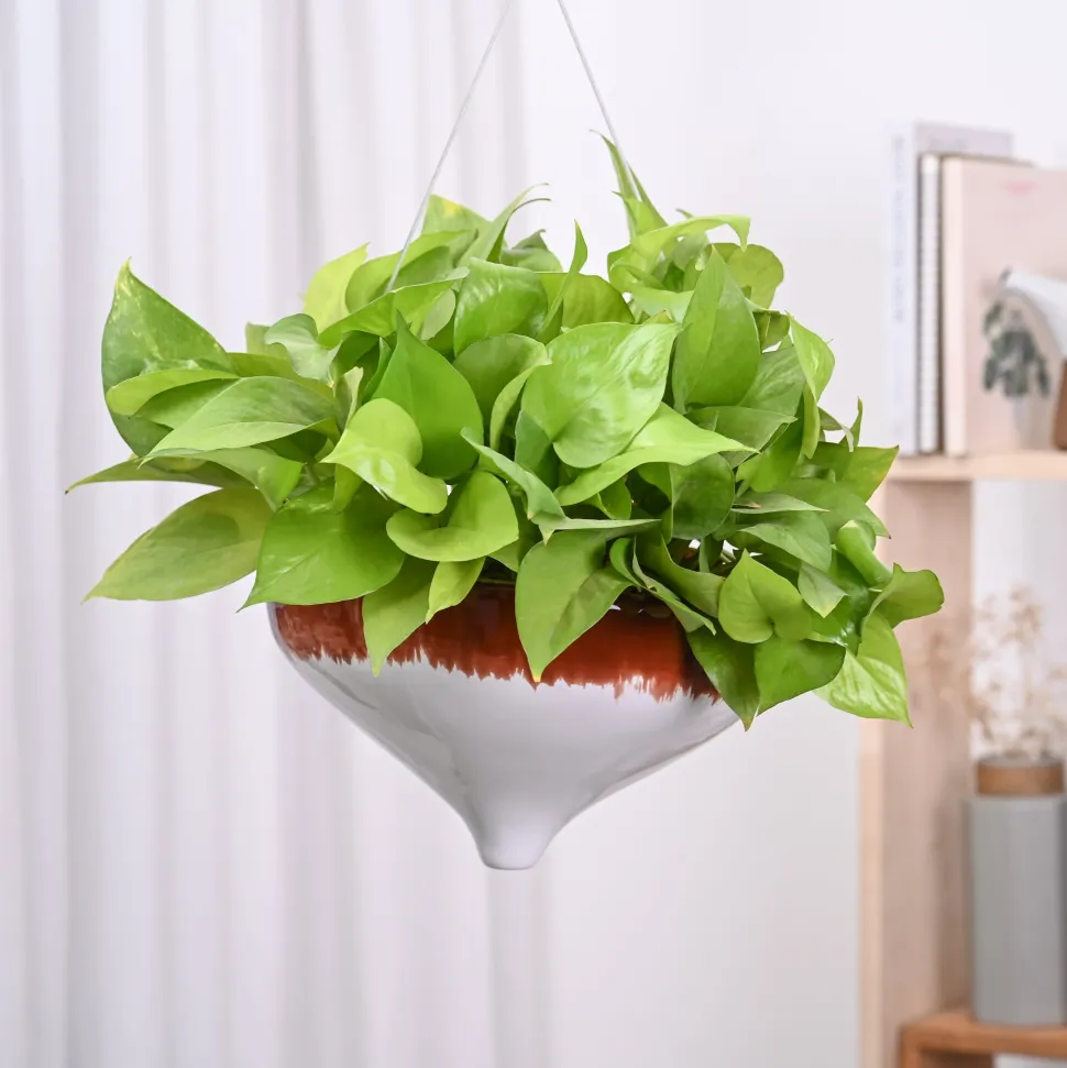 Ceramic Hanging Pot Cosmic Stone