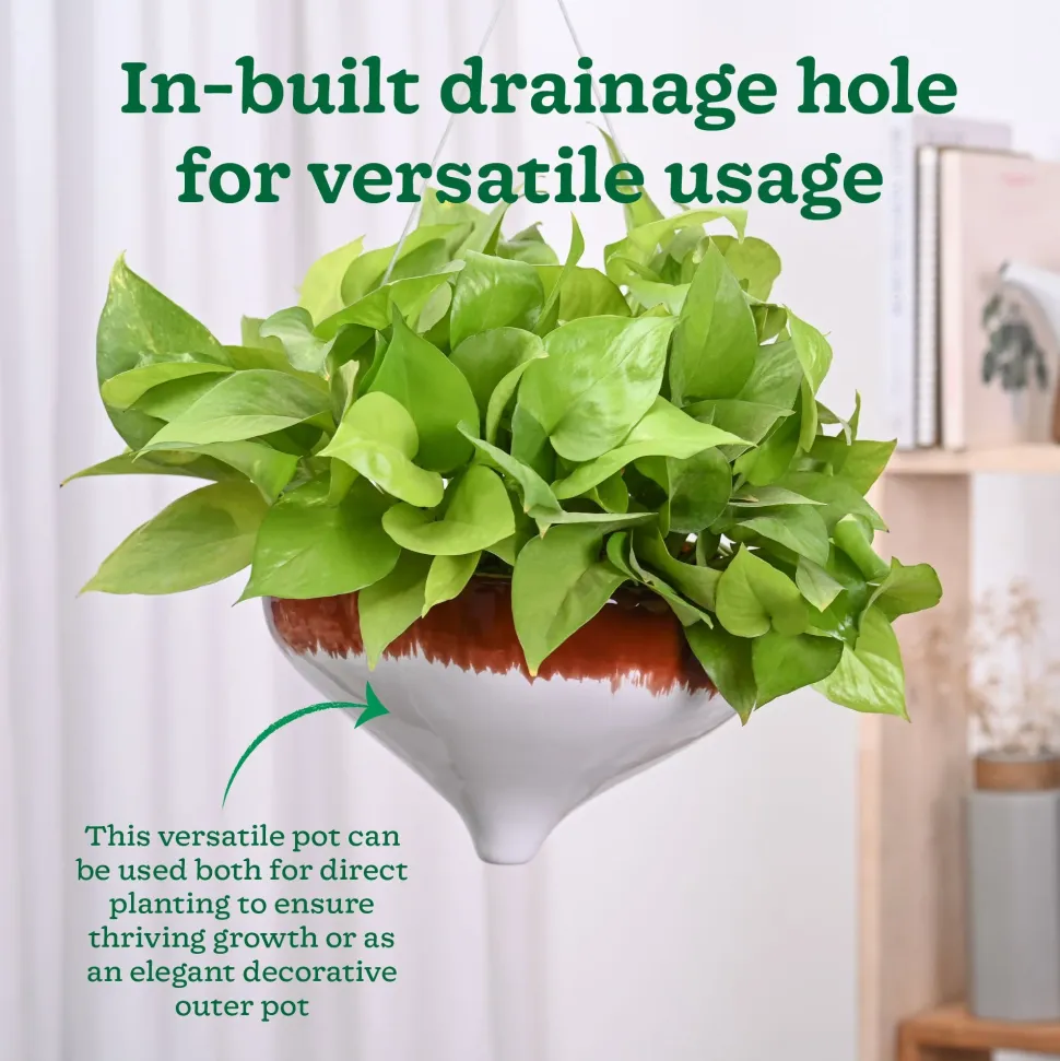 Ceramic Hanging Pot Cosmic Stone